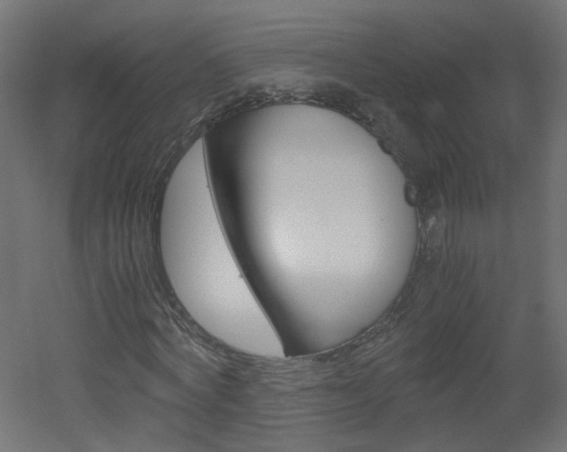 X0000051910772200506241102