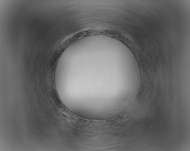 X0000051910773200506241102