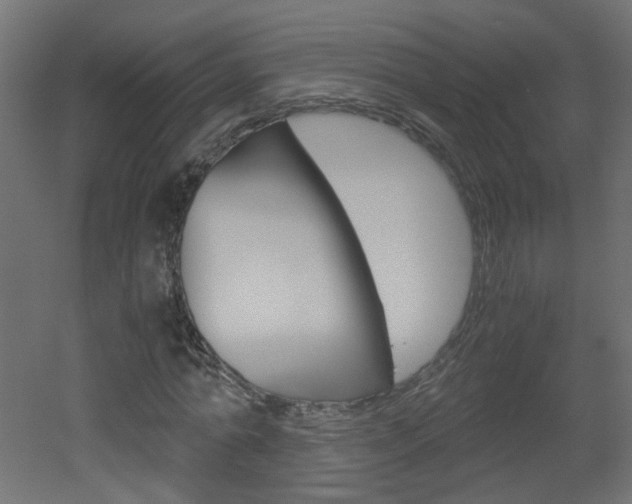 X0000051910774200506241102