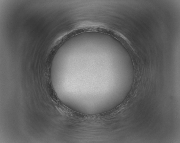 X0000051910775200506241102