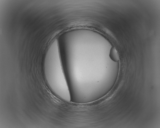 X0000051910777200506241102