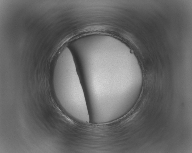 X0000051910778200506241102