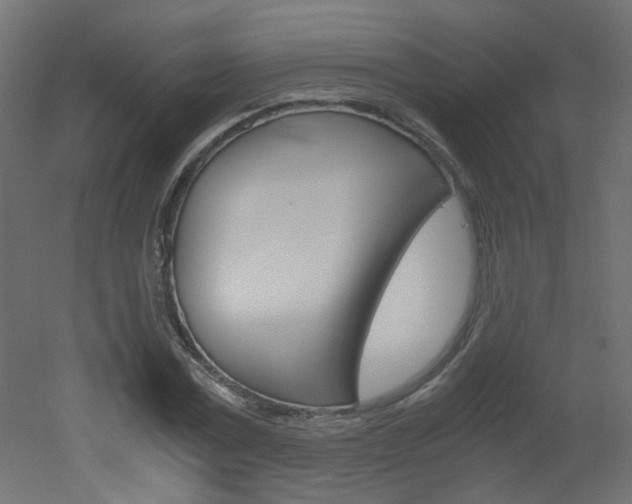 X0000051910779200506241102