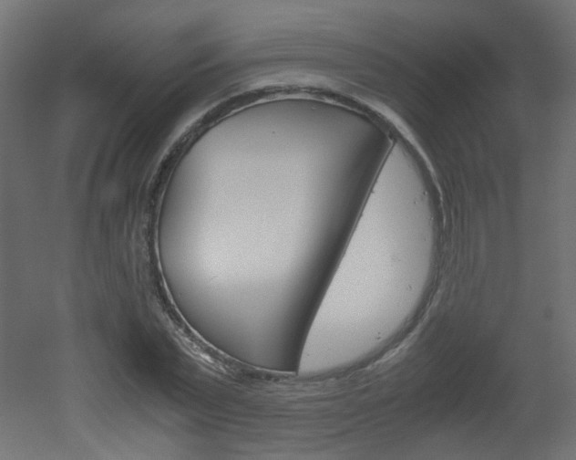 X0000051910783200506241102