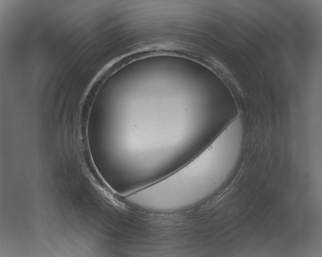 X0000051910784200506241102