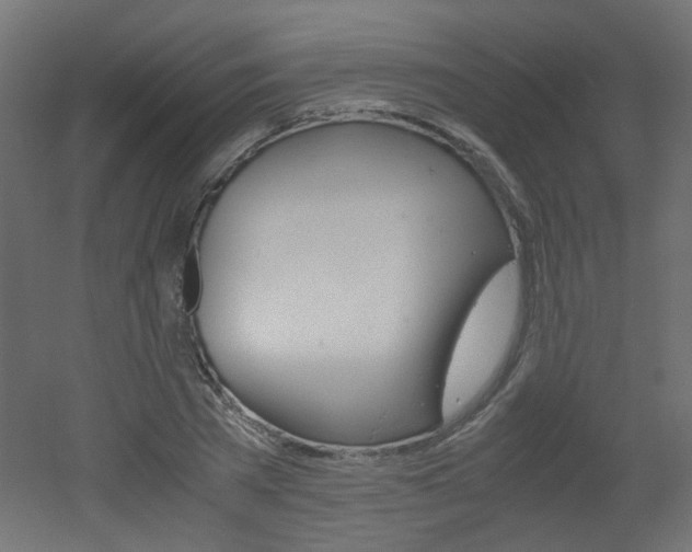 X0000051910785200506241102
