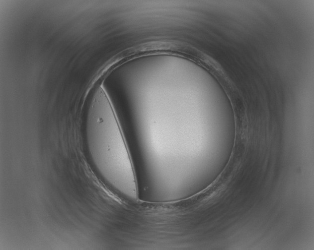 X0000051910786200506241102