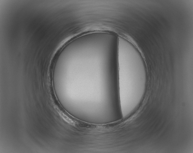 X0000051910787200506241102