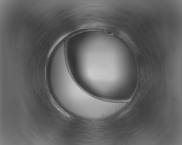 X0000051910788200506241102