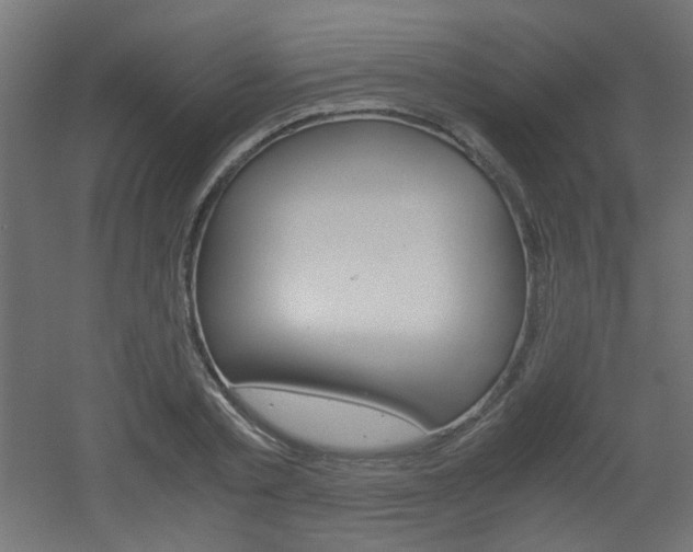 X0000051910789200506241102