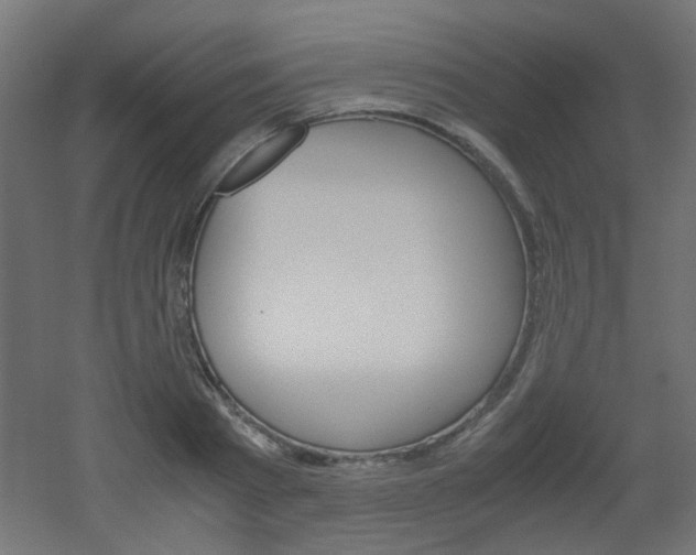 X0000051910793200506241102