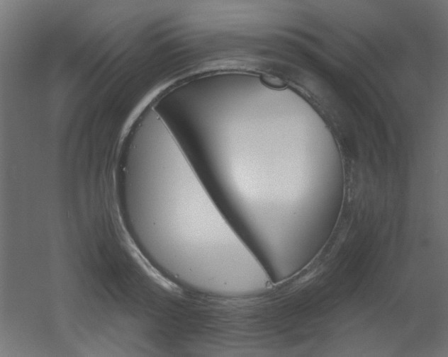 X0000051910796200506241102