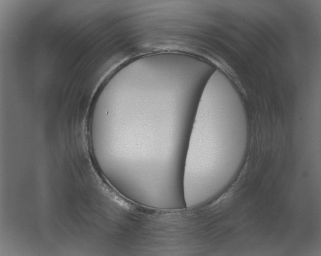 X0000051910798200506241102