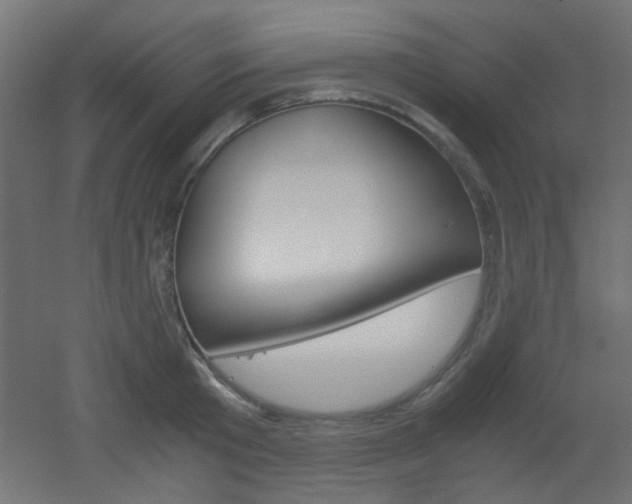 X0000051910801200506241102