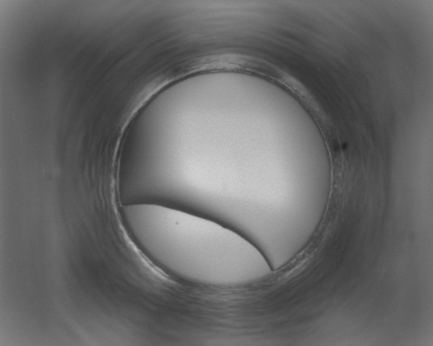 X0000051910802200506241102