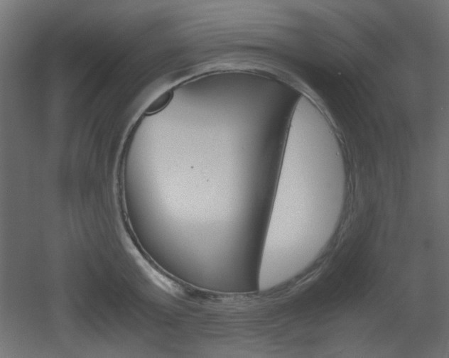 X0000051910803200506241102