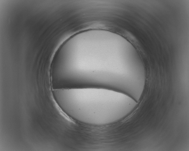 X0000051910808200506241101