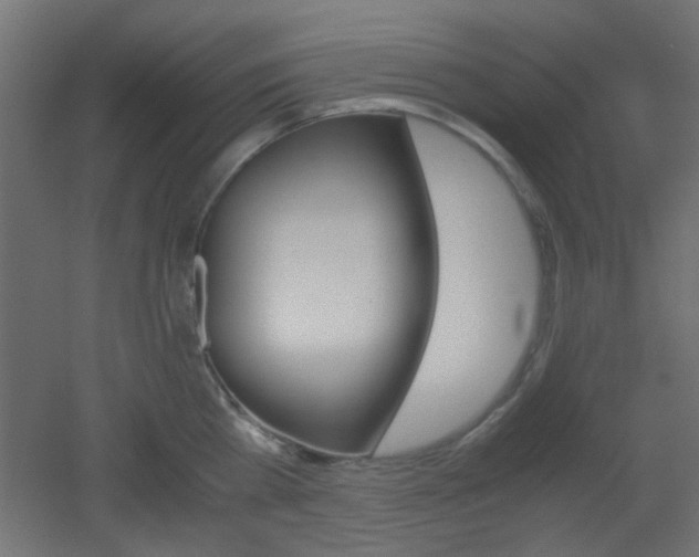 X0000051910809200506241101