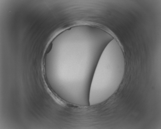 X0000051910811200506241101
