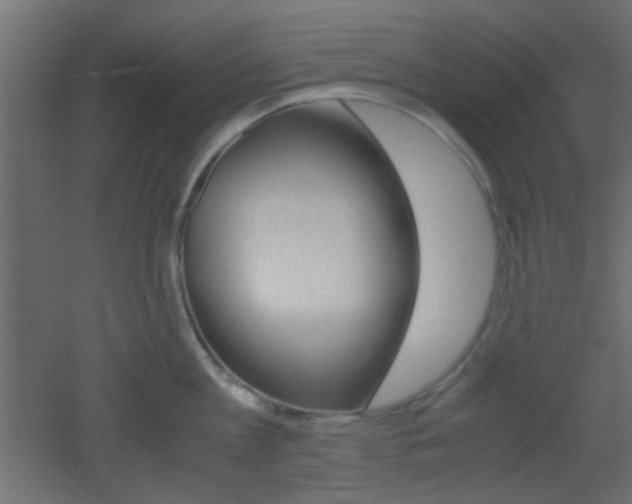 X0000051910813200506241101