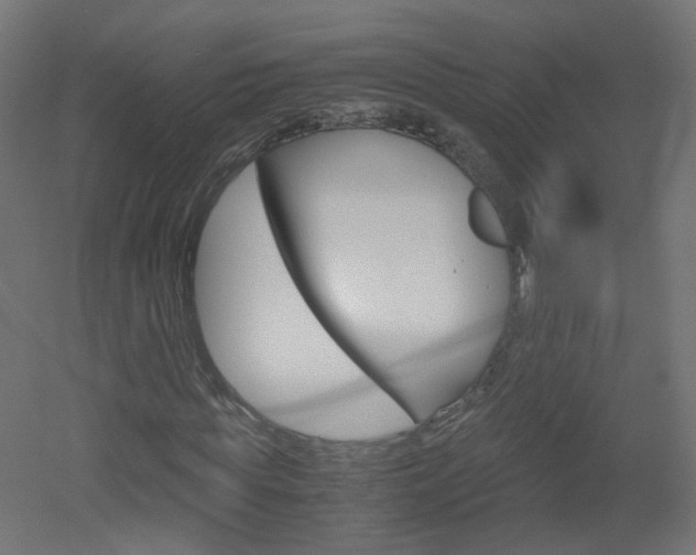 X0000051910819200506241101