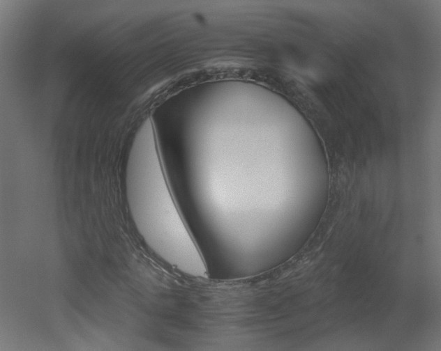 X0000051910821200506241101