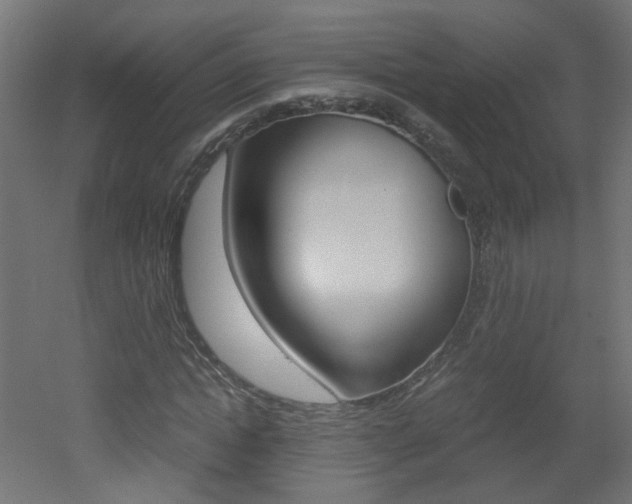 X0000051910822200506241101