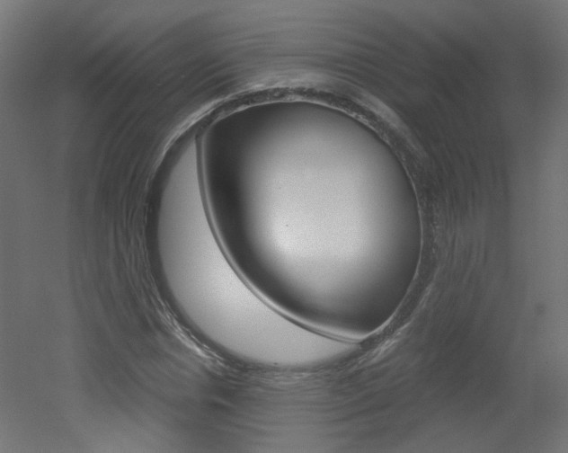 X0000051910826200506241101