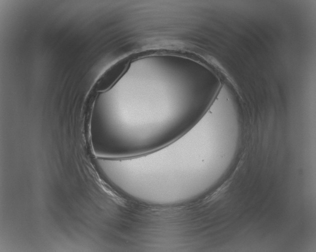 X0000051910830200506241101