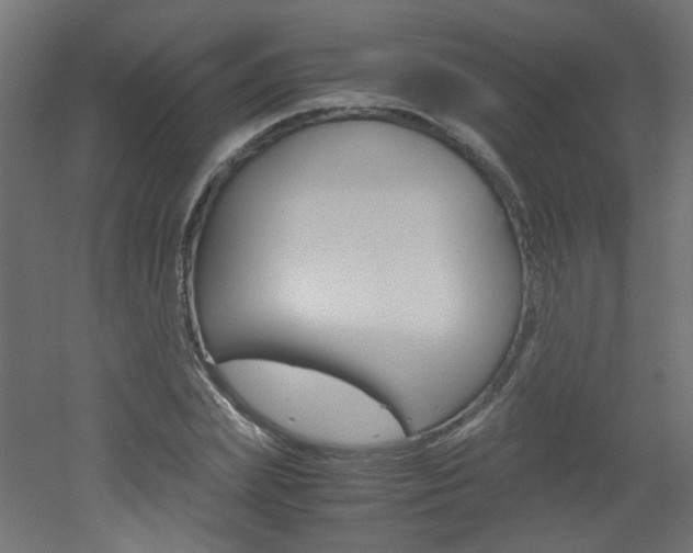 X0000051910831200506241101