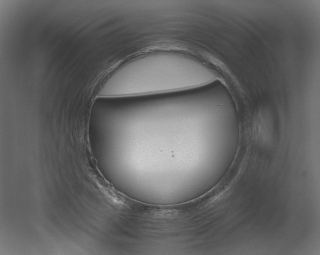 X0000051910833200506241101