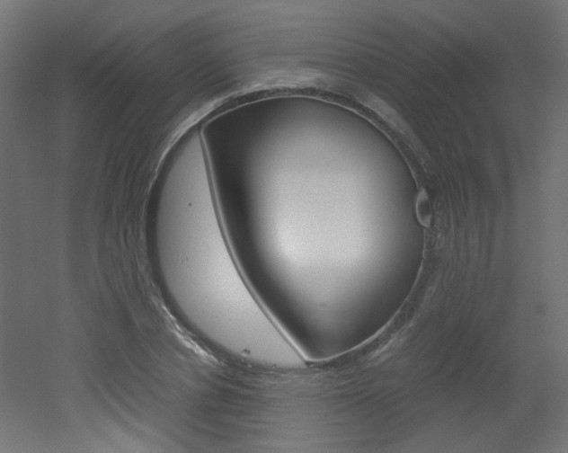 X0000051910834200506241101