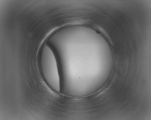 X0000051910835200506241101