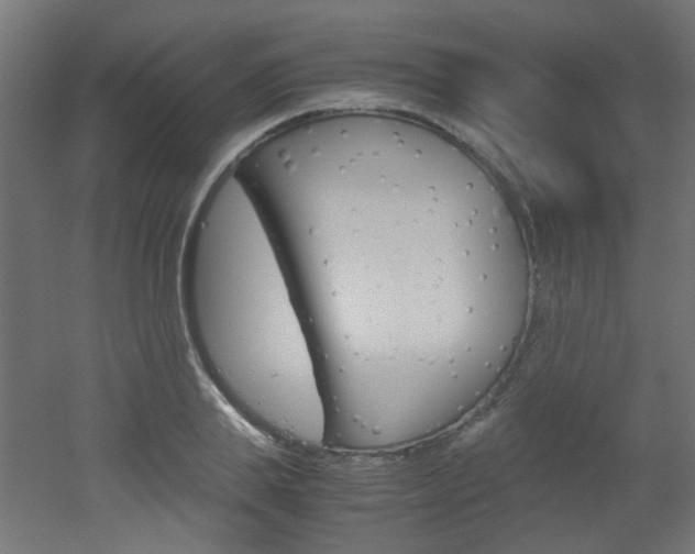X0000051910839200506241101