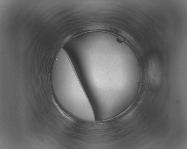 X0000051910841200506241101
