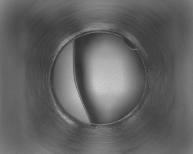X0000051910842200506241101