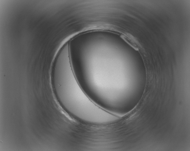 X0000051910846200506241101