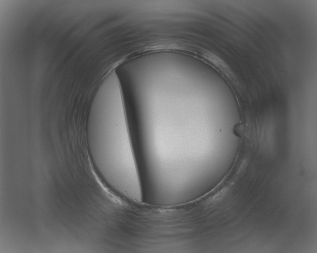 X0000051910849200506241101