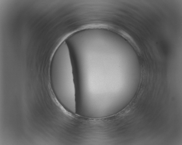 X0000051910852200506241101