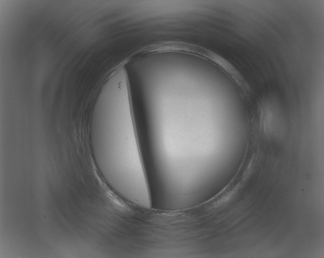 X0000051910857200506241101