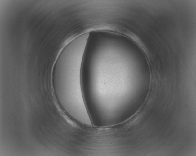 X0000051910858200506241101