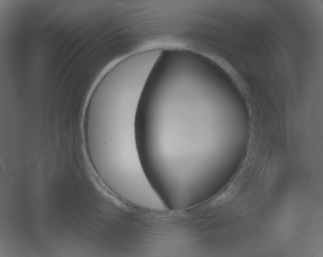 X0000051910864200506241101