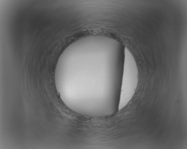 X0000051910865200506241100