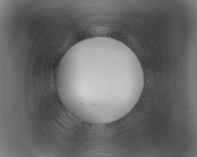 X0000051910866200506241100