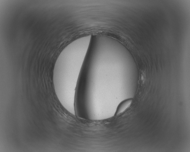 X0000051910867200506241100