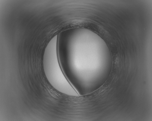 X0000051910868200506241100
