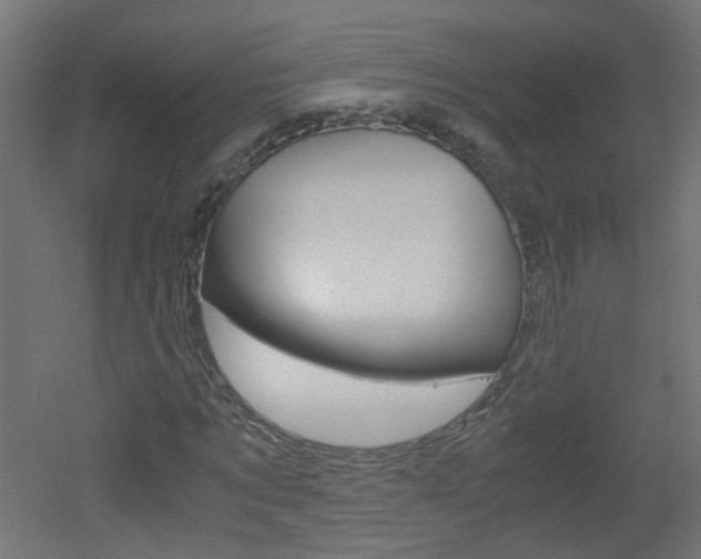 X0000051910869200506241100