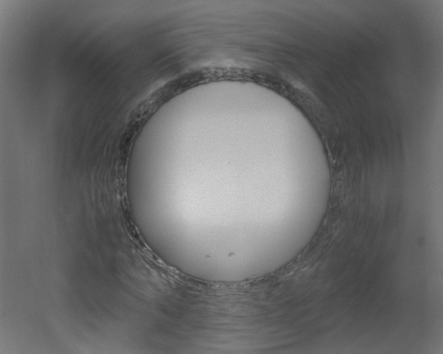X0000051910870200506241100