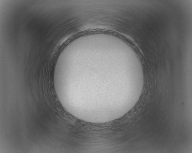 X0000051910871200506241100