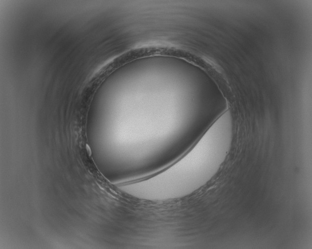 X0000051910872200506241100
